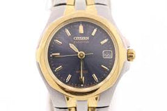 Citizen Women's EW0044-51L Eco-Drive Two-Tone Stainless Steel Watch